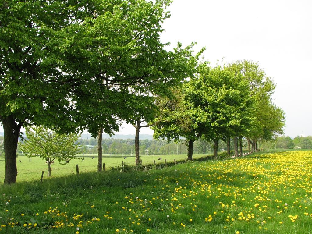 Bed and Breakfast Huize Mesch Eijsden Exterior foto
